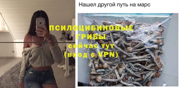 скорость Ряжск