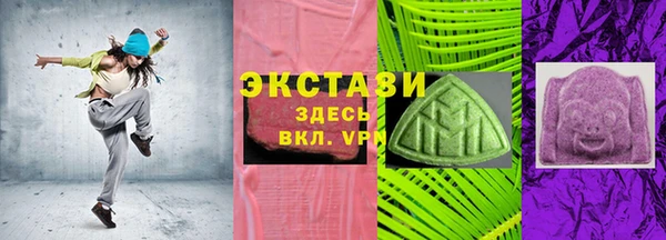 МДПВ Снежногорск