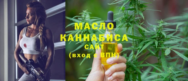 МДПВ Снежногорск